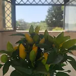 Villa Colline Fiorite