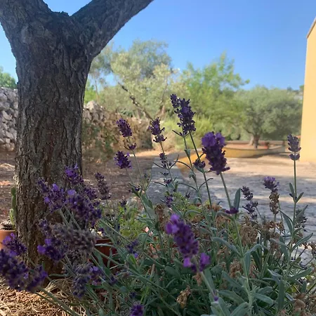 Villa Colline Fiorite